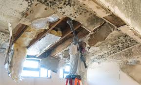 Best Asbestos and Lead Testing During Mold Inspection  in Manvel, TX